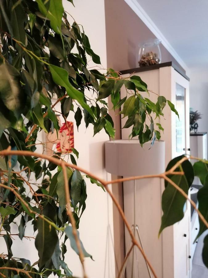Apartman Luna Szybenik Zewnętrze zdjęcie