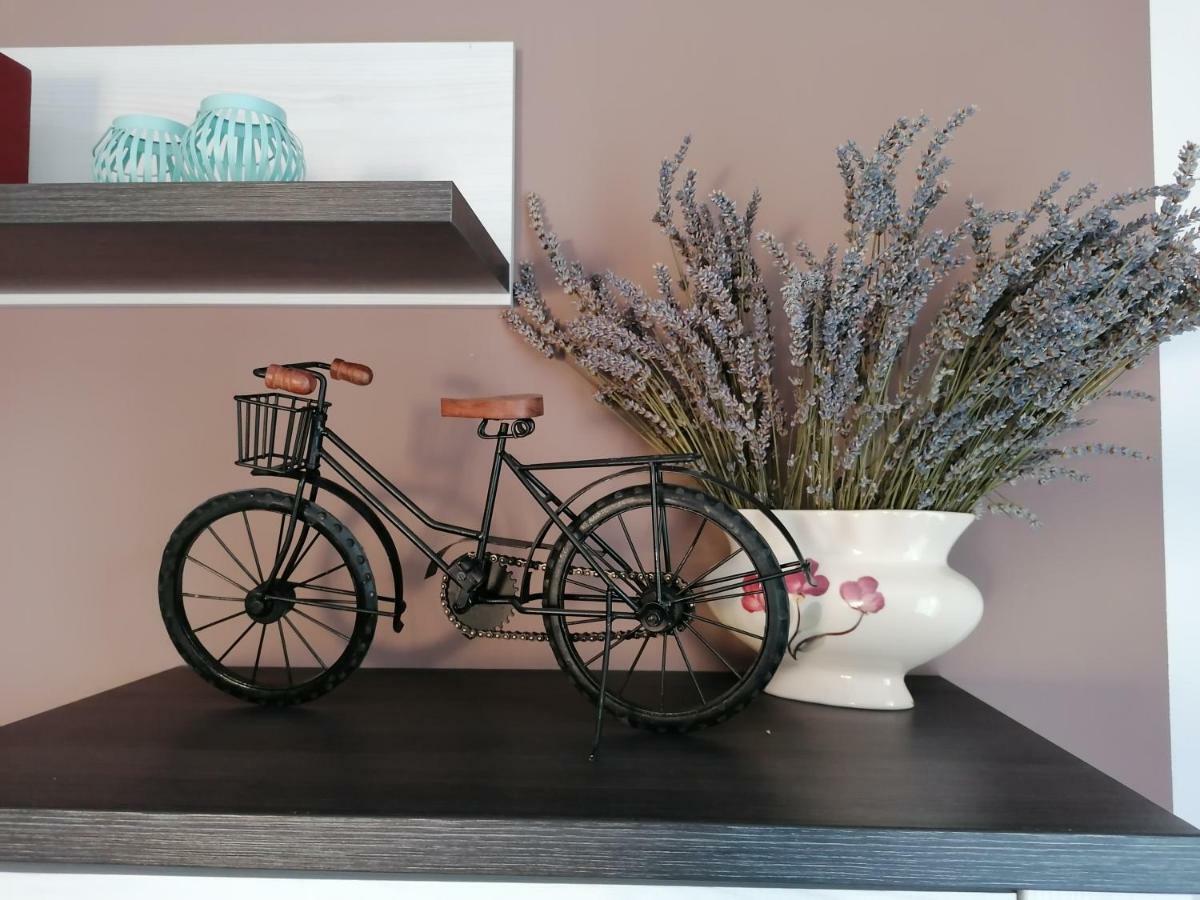 Apartman Luna Szybenik Zewnętrze zdjęcie